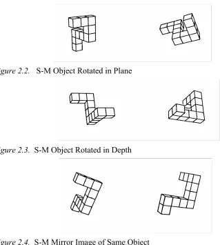 Figure 2.4.  S-M Mirror Image of Same Object 