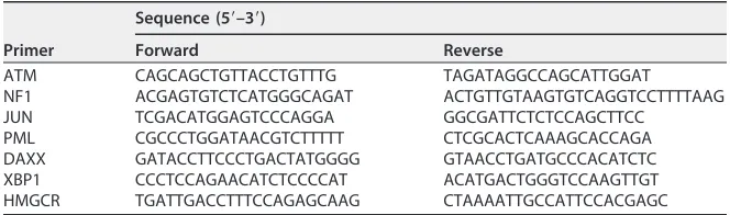 TABLE 1 Primers used in this study