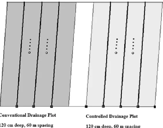 Figure 2.3.   General layout of the Bath open-ditch experimental site near Bath, NC. 