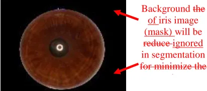 Fig.1. Original iris image before background removal.  