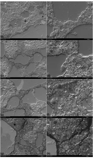 Figure 2-4: Scanning Electron Microscope (SEM) Images of concrete specimens with different degrees of damage (D) with two magnifications: (a) D=0,100X; (b) D=0, 200X;(c) D=10.1%, 100X; 