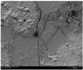 Figure 2-5: Scanning Electron Microscope (SEM) image of concrete with 47.2% damage illustrating the connectivity of the cracks with an air void 