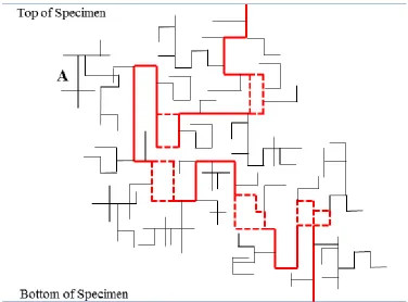 Figure 2-13: Schematic illustration of a network of micro-cracks after percolation. Thick lines (red  solid and dashed lines) show the backbone of the cluster