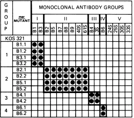FIG.1.forthewild-typeorwild-typeneutralizationIndividual sensitive Operationally defined epitopes of HSV-1 (KOS-321) gB