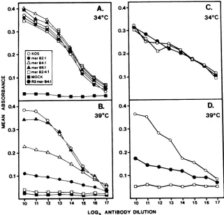 FIG. 5.radiolabeledvisualizedpositionsantibodies Effect of temperature on processing of gB mar mutants