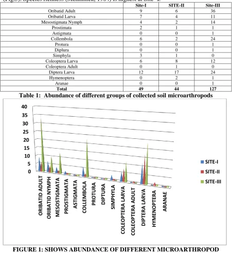 FIGURE 1: SHOWS ABUNDANCE OF DIFFERENT MICROARTHROPOD GROUPS AT COLLECTION SITE 