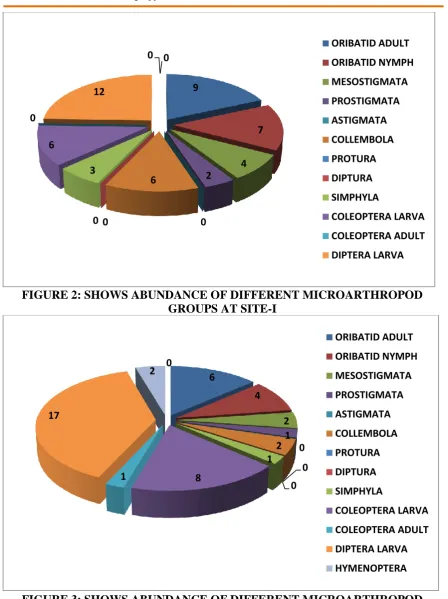 FIGURE 2: SHOWS ABUNDANCE OF DIFFERENT MICROARTHROPOD GROUPS AT SITE-I 