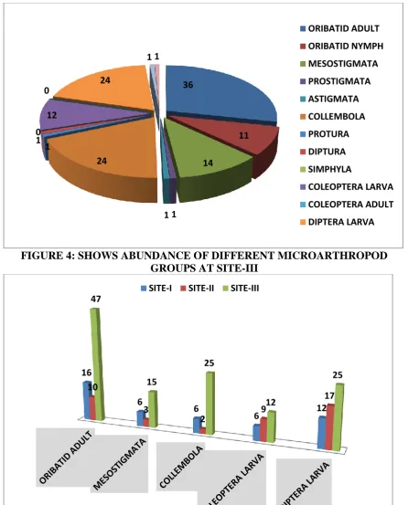 FIGURE 4: SHOWS ABUNDANCE OF DIFFERENT MICROARTHROPOD GROUPS AT SITE-III 