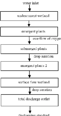 Fig. 1. Process of constructed Wetland.  
