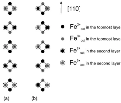 FIG. 6. Top view of octahedral chains of Fe cations. The ﬁrsttwo layers are shown, and the tetrahedrons formed by nearest-
