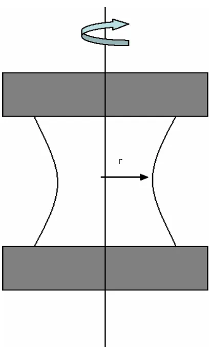 Figure 1-2.  Torsion sample (Capstan) 