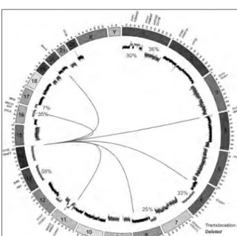 Figure 1: The common genetic abnormalities in myeloma. 