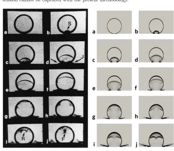 Figure 3: Validation of the numerical solution (right) against experiment (left) for a 2-D dropimpact on a solid wall with impact velocity 110 m/s