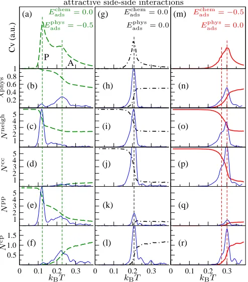 Figure 6: Self-assembly for attractive intermolecular interactions with0.20.8(o)(o)solid lines are the respective running standard deviations (calculated over 10 points) and10×000.10.2 E= −0.5, corre-ijside(n)(n)V0.32.2 in arbitrary units (a.u.) with tempe