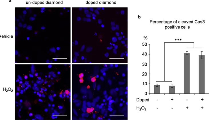 Fig. 8. Quantidata for the control substrate (polished undoped diamond) has been arbitrarily set to 1.Each data point represents the average of three experiments