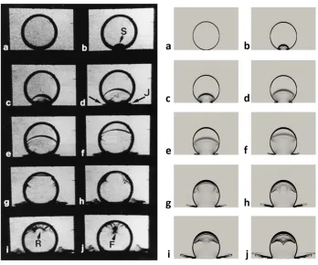 Figure 4: Validation of the numerical solution (right) against experiment (left) for a 2-D dropimpact on a solid wall with impact velocity 110 m/s