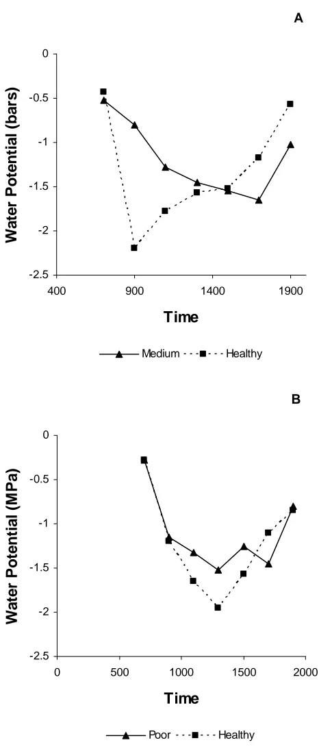 Figure 2. June 2007 water potential ( Ψ) diurnal curves of a healthy and medium health Carolina (A) hemlock, and a healthy and poor health eastern (B) hemlock