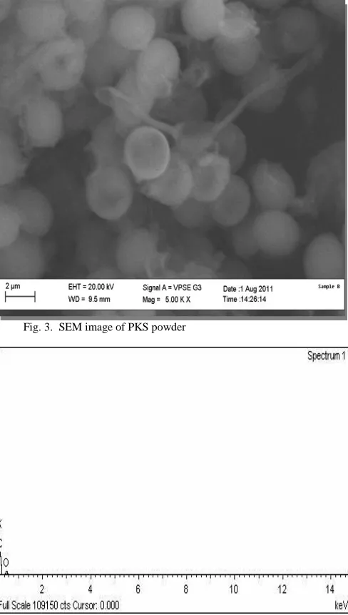 Fig. 3.  SEM image of PKS powder  