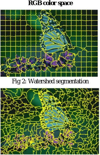 Fig 2: Watershed segmentation 