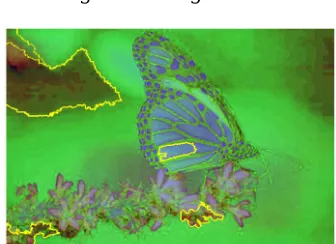 Fig 10: SLIC segmentation  