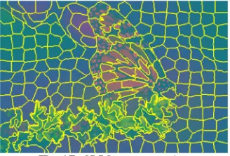 Fig 15: SLIC segmentation 
