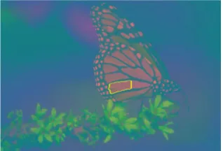 Fig 16: Ncut segmentation  