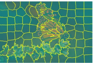 Fig 20: SLIC segmentation  
