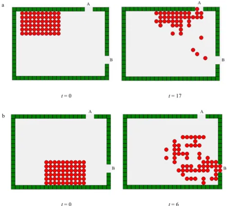 Fig. 2. Snapshots of simulation results of different initial distributions of pedestrians in a two-exit room: (a) near the left side of exit A; (b) near  the left side of exit B