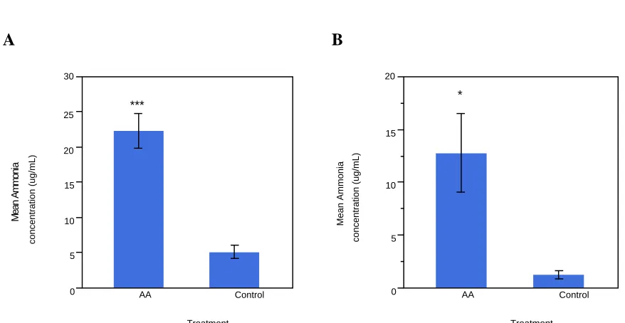 Figure 2.1 Serum ammonia concentrations.  Serum ammonia concentrations taken from ammonium acetate and control injected embryos 12 hours after the last injection on A) ED17 or B) ED19