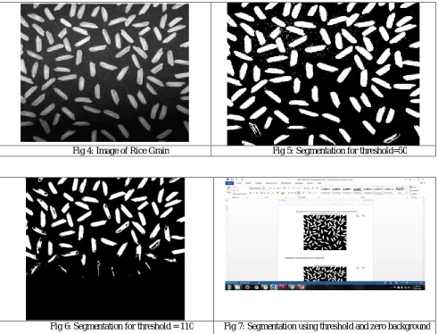 Fig 4: Image of Rice Grain 
