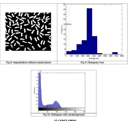 Fig 8: Segmentation without isolated pixels 
