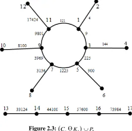 Figure 2.3: (C