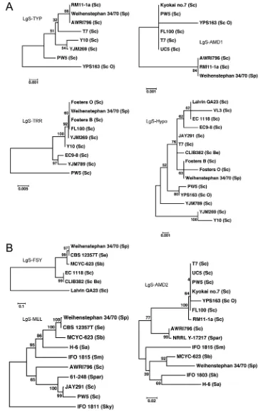 Figure 1. Phylogenetic trees for theBe, a beer isolate.beside each panel. In total, 42 genomes were analysed