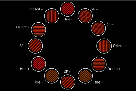 Figure 4.  Experiment 2: Example of a stimulus array from the discrimination training phase