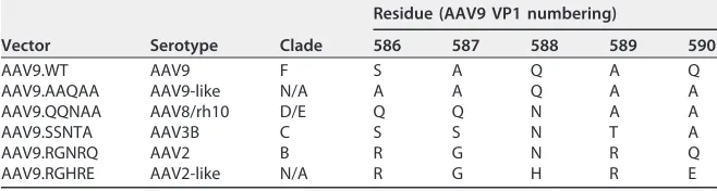 TABLE 1 PAV9.1 Fab epitope residuesa