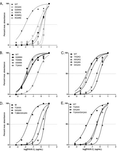 FIG 3 Effect of epitope mutations on the EC50 of PAV9.1 mAb for AAV9. We used capsid capture ELISA against AAV9 toanalyze and generate binding curves for PAV9.1