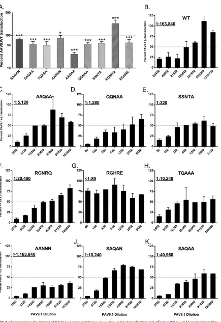 FIG 4 Characterizing the impact of PAV9.1 epitope mutations on in vitro vector transduction and effective PAV9.1 mAb neutralizing titer.(A) Transduction efﬁciency of PAV9.1 capsid mutants relative to AAV9.WT in HEK293 cells