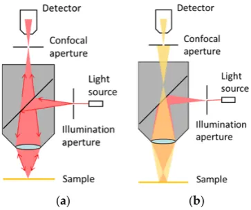 Figure 1.Figure 1. Structure of single-point confocal system. (a) Target point is on focus; (b) Target point is out of focus
