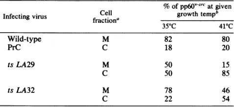 TABLE 1. Localization of pp6O-vsrC by cell fractionation