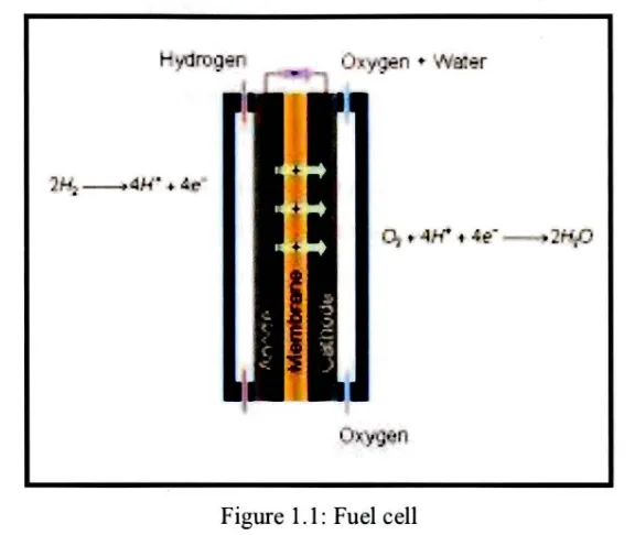 Figure 1.1: Fuel cell 