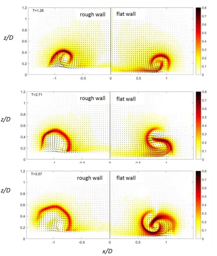 Figure 5.  Evolution of the vortex roll-up in the vertical x-y plane visualized by means of the FLT-exponent in color