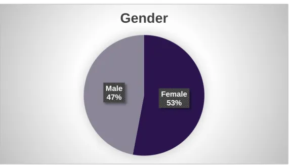 Table 2.2 Gender of clients worked with in the pilot project  