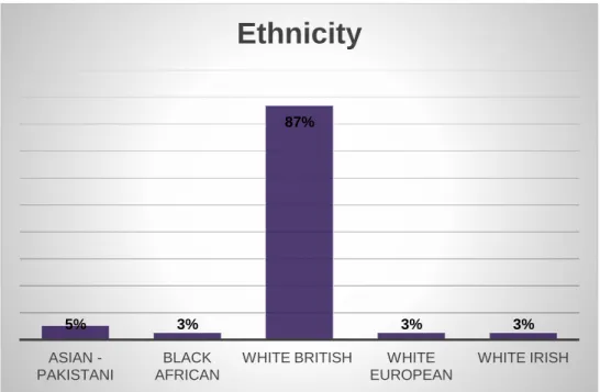 Table 2.3 Ethnicity of clients within the joint pilot  