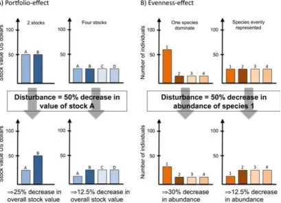 Figure 4: Diagram showing how the ‘Portfolio-effect’ (A) and community evenness  (B) may lead to a positive diversity-ecosystem functioning relationship