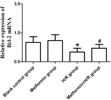 Figure 5. Comparison of Bax mRNA expression in primary myocardial cells of each group (F=32.1, P<0.001)