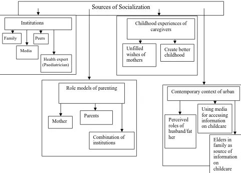 Figure 1. Sources of socialization Institutions as a source of socialization 