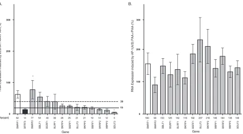 FIG 8 Expression of a group of late genes when activated by ZEBRA or AP-1(A/S) in response to PAA treatment