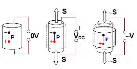 Figure 2.2: Piezoelectric direct effect in shorted circuit. 