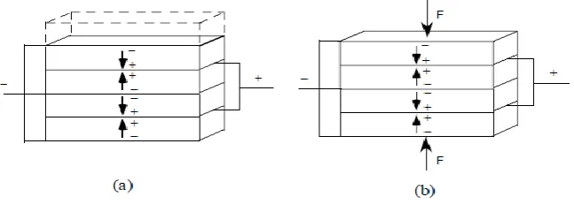 Figure 2.5: Piezoelectric Stack Actuator and Generator. (a) Actuator device (b) Energy Harvester
