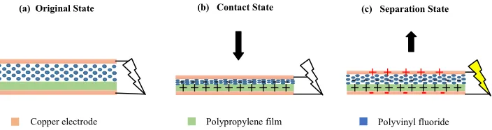 Fig. 3. Operating principle of the triboelectric sensor: (a) Original position of the sensor before the impact